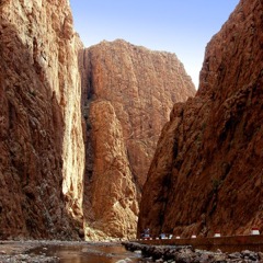 Todra